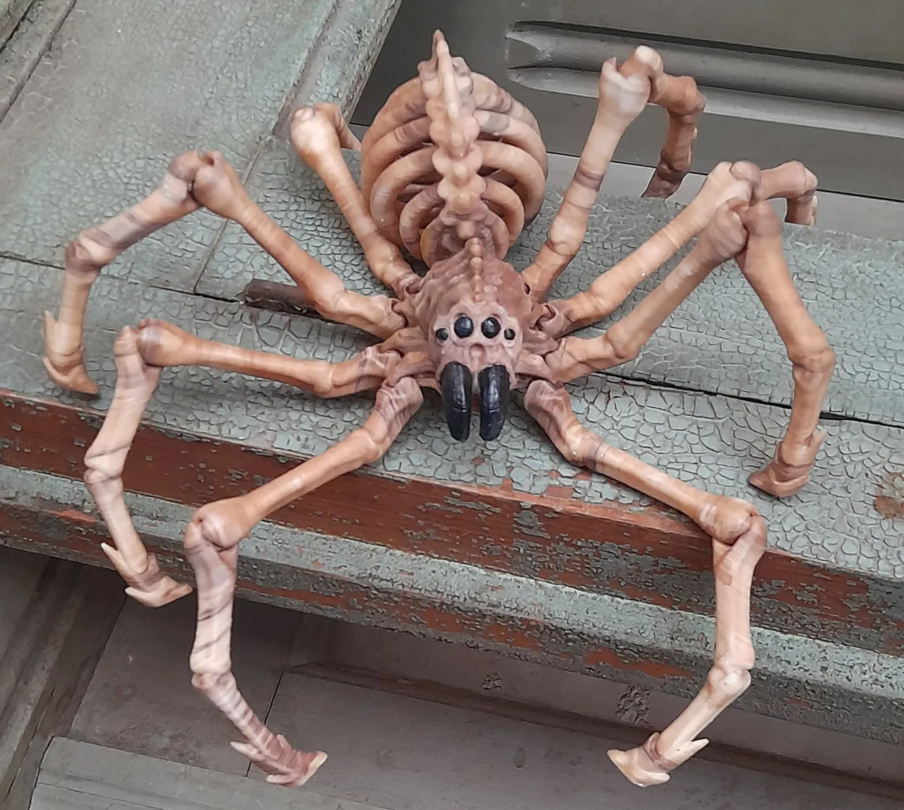 SKELETON SPIDER FLEXI view 2