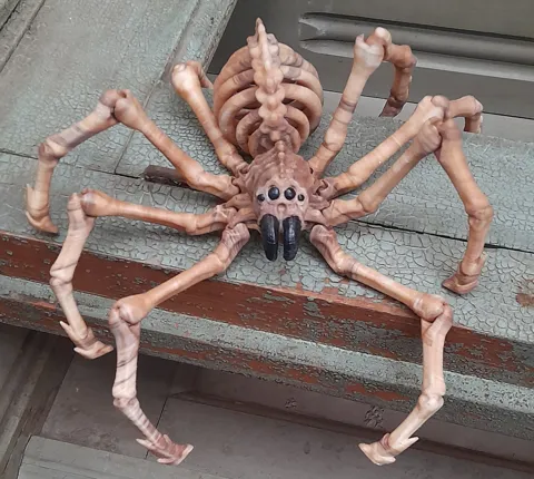 SKELETON SPIDER FLEXI view 2