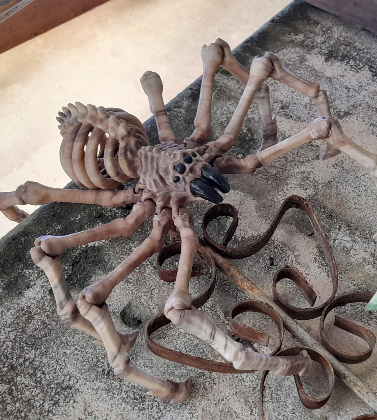 SKELETON SPIDER FLEXI view 3