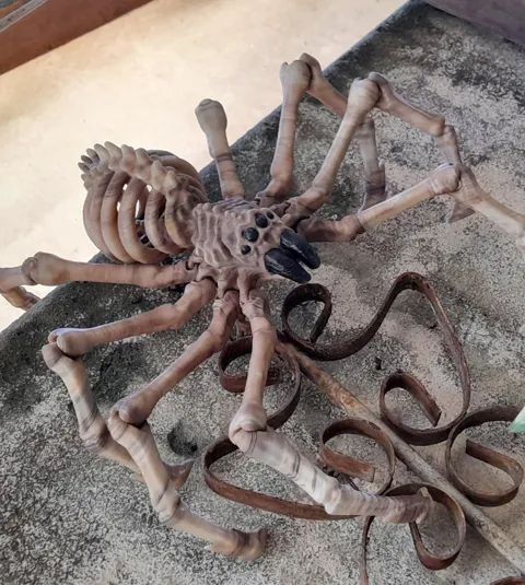 SKELETON SPIDER FLEXI view 3