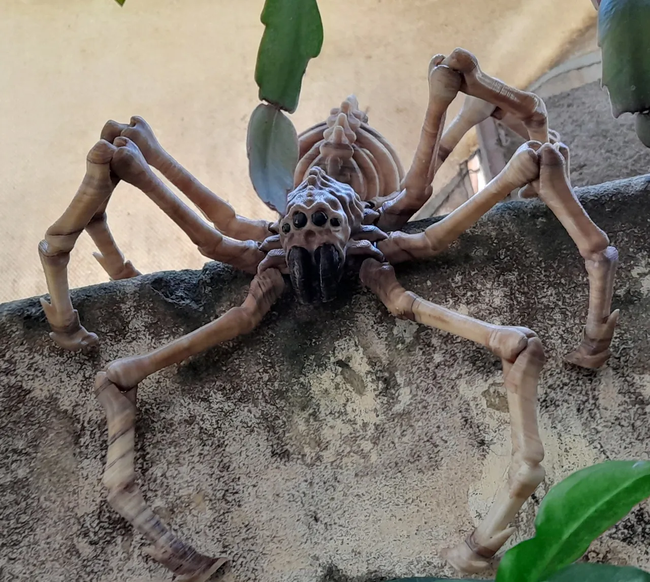 SKELETON SPIDER FLEXI view 4