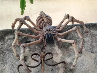 SKELETON SPIDER FLEXI