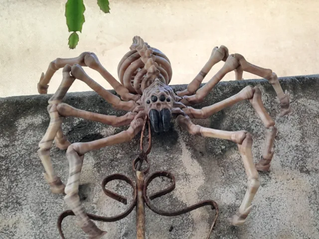 SKELETON SPIDER FLEXI