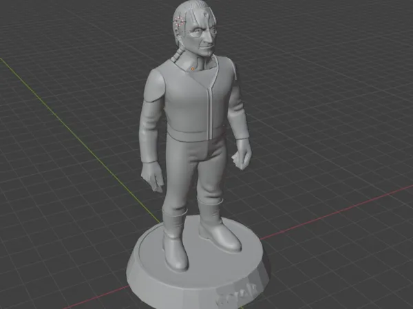 https://makerworld.bblmw.com/makerworld/model/USebd691acf83d37/design/2025-06-17_e718f7233dc26.jpg