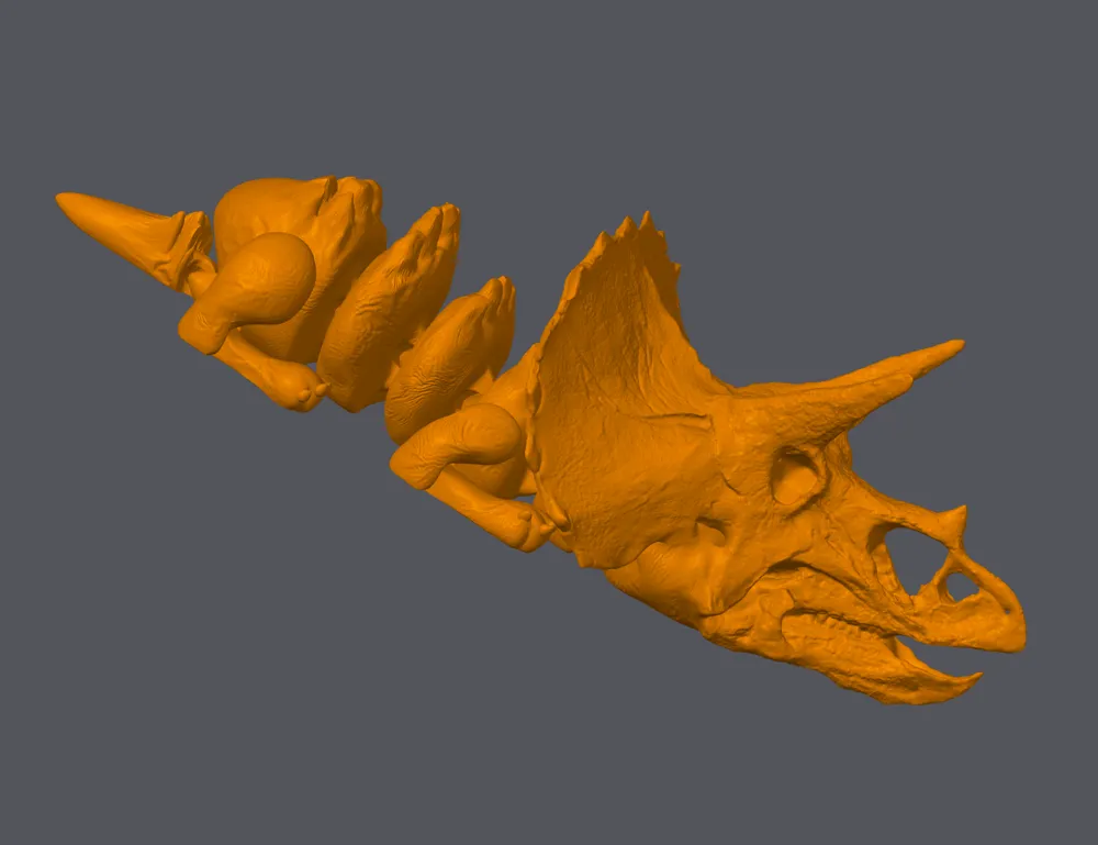 articulating-triceratops-by-412yeti-makerworld