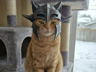 Meow-rior’s Helm: Fantasy Cat Helmet The Skyrim