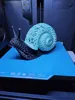 Filigree Voronoi Snail AMS 100%