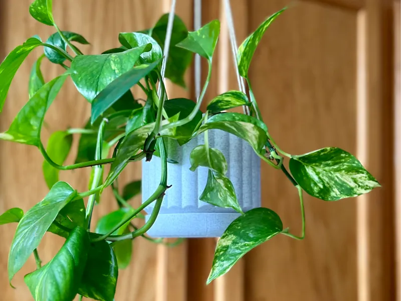 Hanging Planter // Plant Pot
