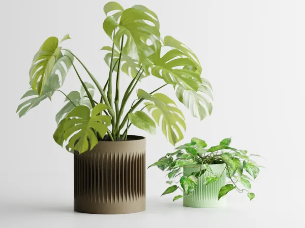 https://makerworld.bblmw.com/makerworld/model/USebe48dd199197f/design/2024-04-21_288fa28571cd2.png
