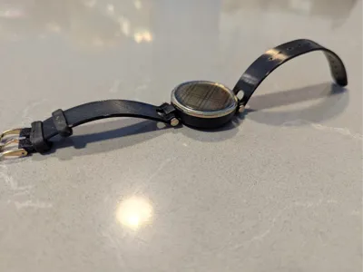 Garmin Lily watch strap