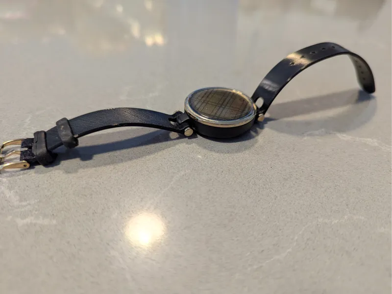 Garmin Lily watch strap