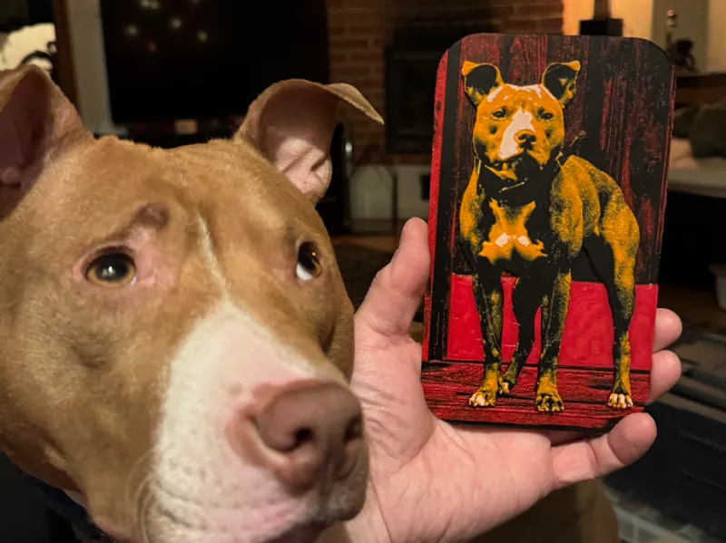 Pitbull Canvas