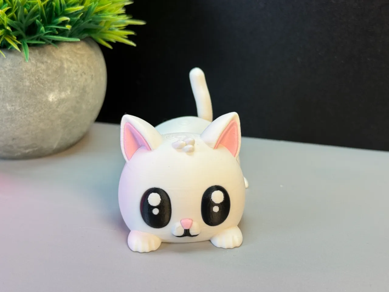 Cute Cat view 2
