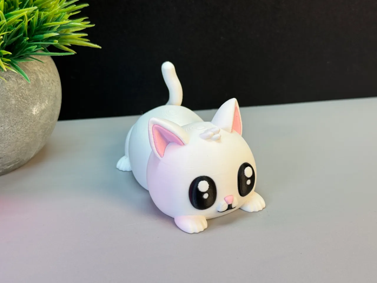 Cute Cat view 3