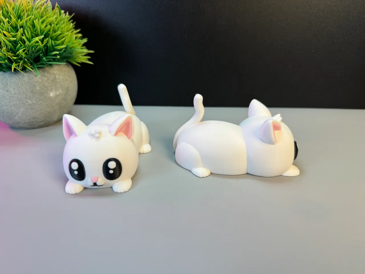 Cute Cat view 4