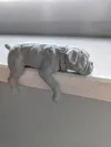 X2D optimized, better surface quality