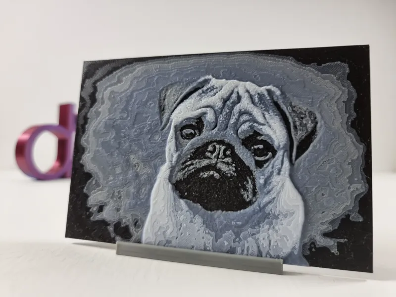 Pug