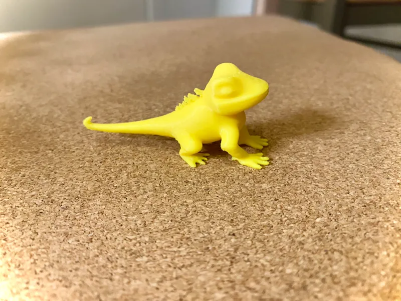 Little Iguana