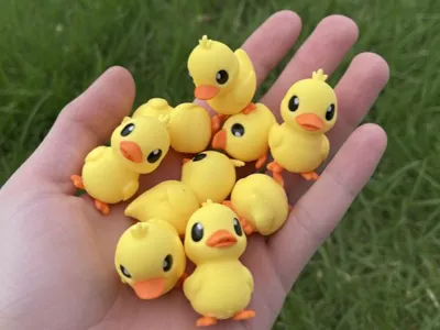 Tiny, cute duck