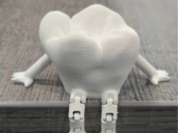 https://makerworld.bblmw.com/makerworld/model/USebf9080cb62ffe/design/2025-02-05_08dd999ab3e0e.jpg
