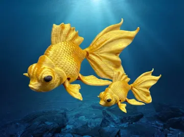 Letrero o emblema decorativo: Flexi Goldfish — vista de referencia 4