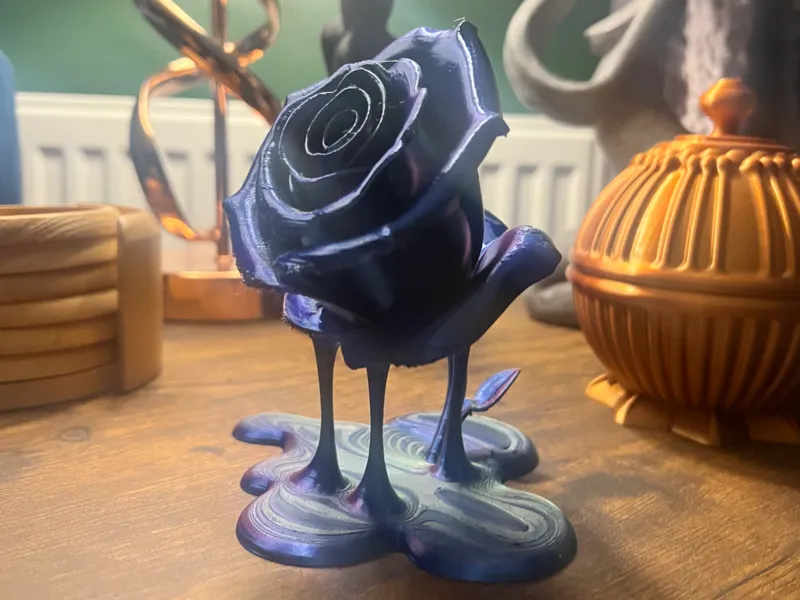 Dripping melting Rose flower