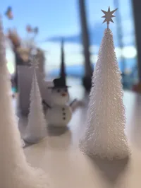 Sapin de Noël — photo 3