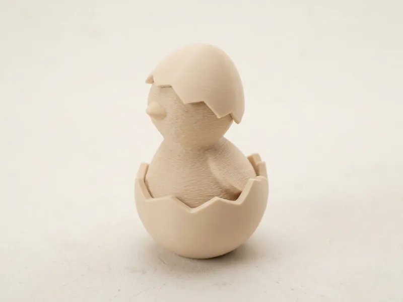 Hatched Chicken