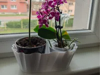 Wavy pot set