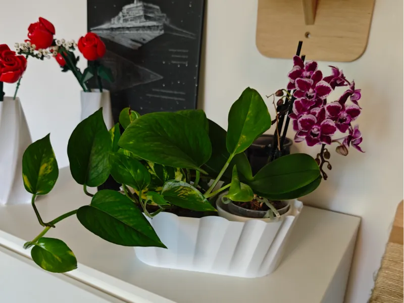 Wavy pot set for plants