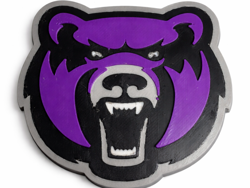 CENTRAL ARKANSAS UNIVERSITY LOGO