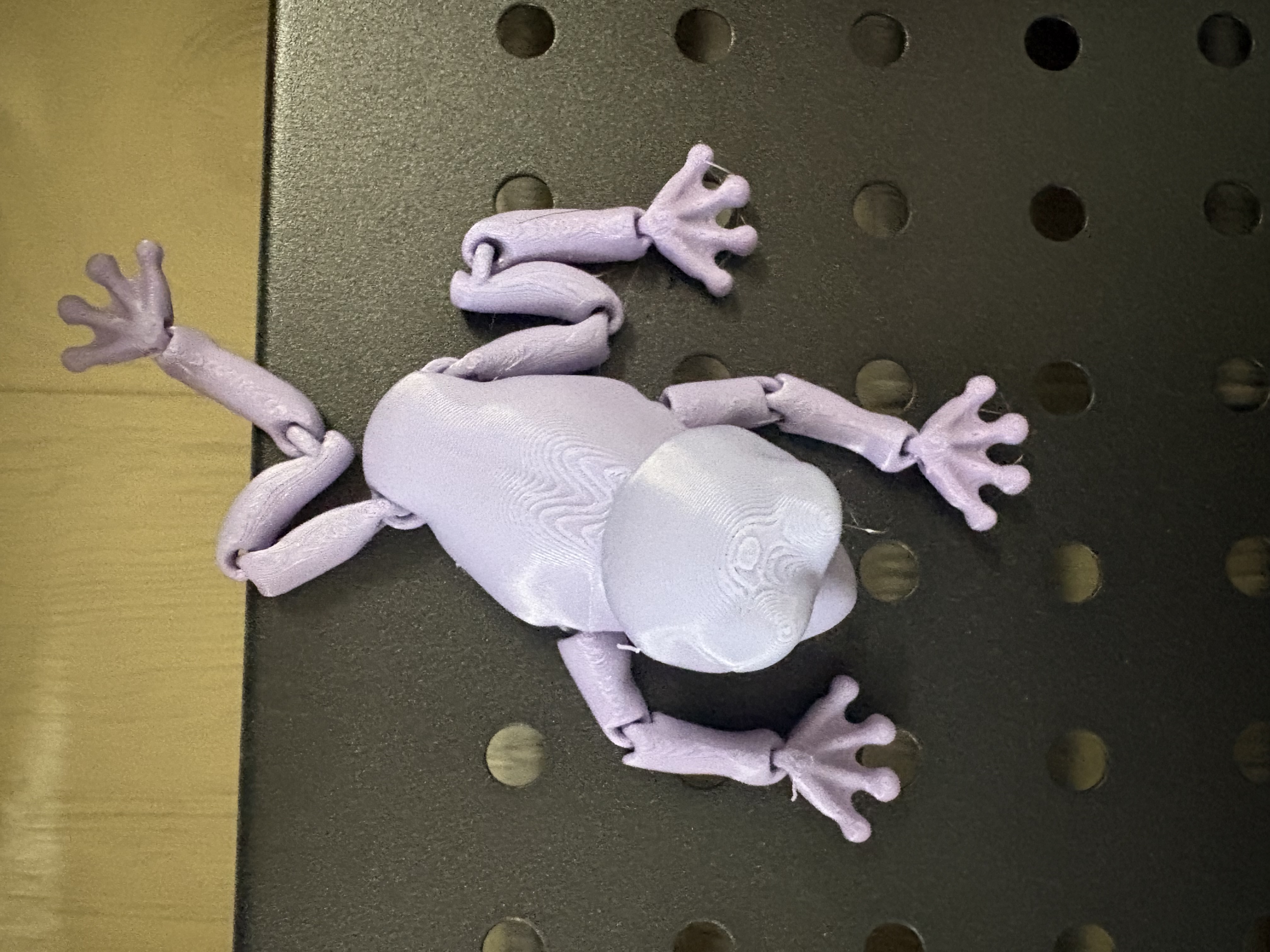 Miniatura 5 do modelo 3D FlexiFrog
