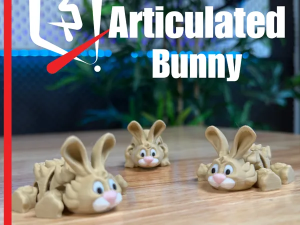 https://makerworld.bblmw.com/makerworld/model/USec1381e8267180/design/2025-03-14_bede3d9c04471.png
