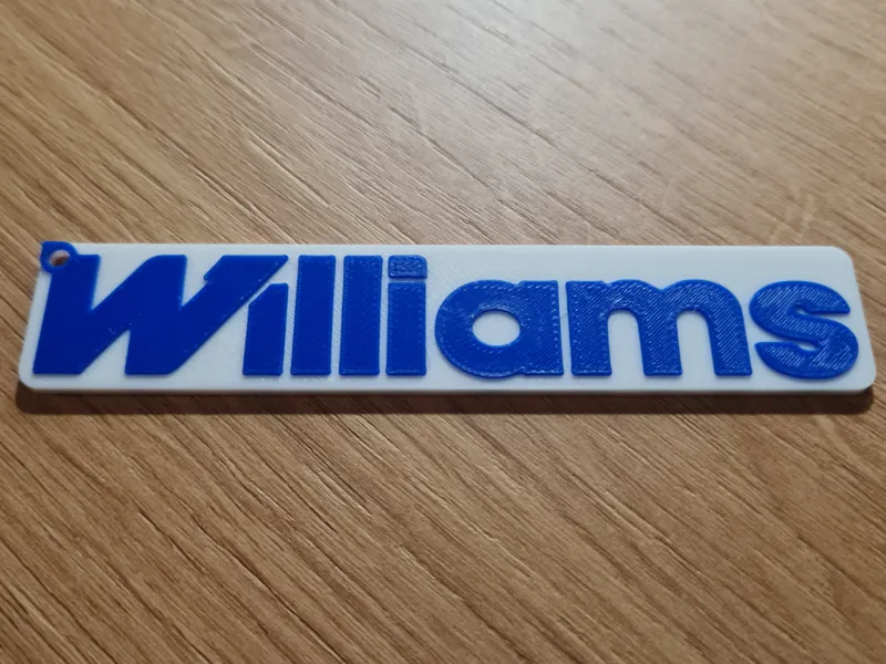 Wiliams F1 Team Keychain 2 / NO AMS & AMS