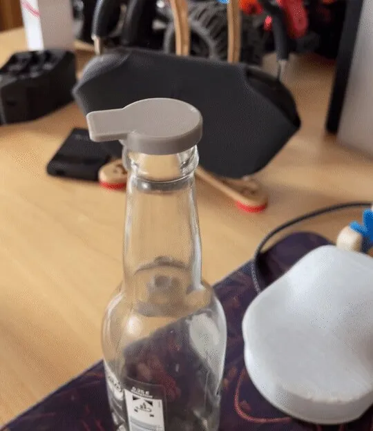 https://makerworld.bblmw.com/makerworld/model/USec1855c38d051b/design/2024-09-15_9a31ff5e81cb8.jpg