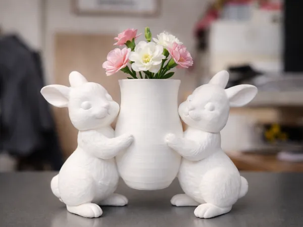 https://makerworld.bblmw.com/makerworld/model/USec192a9257663f/design/a609a4181a9a6151.png