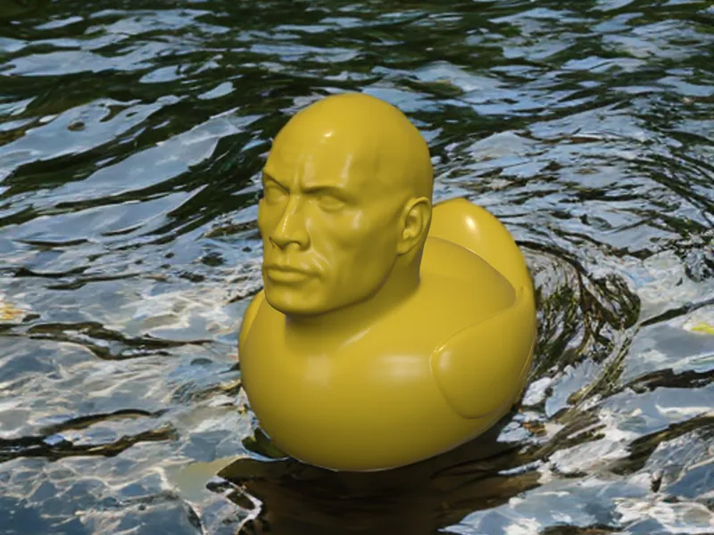 The Rock Duck