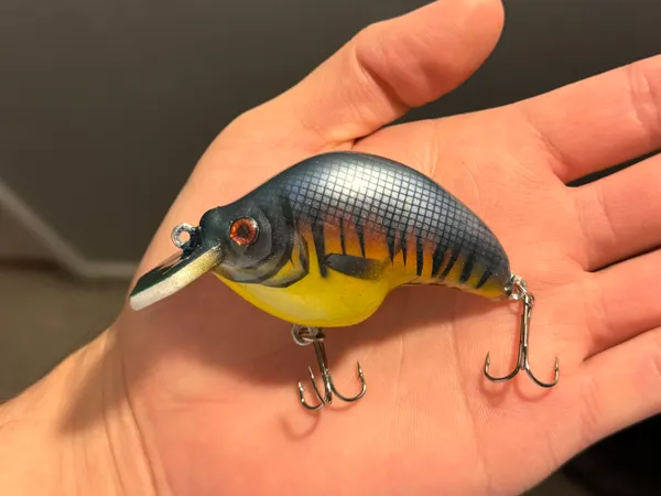 https://makerworld.bblmw.com/makerworld/model/USec1c419e80683c/design/2024-11-24_a90eb52fa4133.jpeg