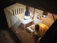 A1整盘打印