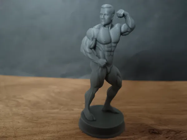https://makerworld.bblmw.com/makerworld/model/USec1fe66bc0ac0e/design/2025-11-29_499cadb77629d8.jpg