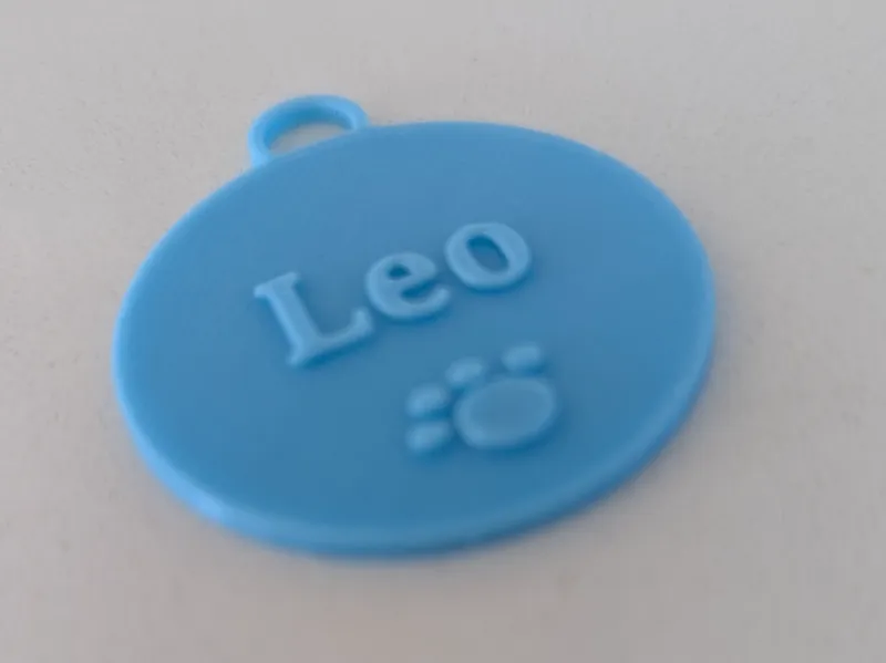Cat Name Tag