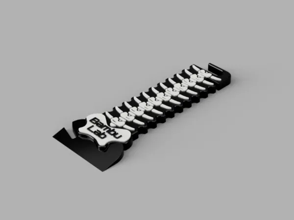 https://makerworld.bblmw.com/makerworld/model/USec239e4ef05f38/design/2024-12-03_8b915d0ddcbf5.png