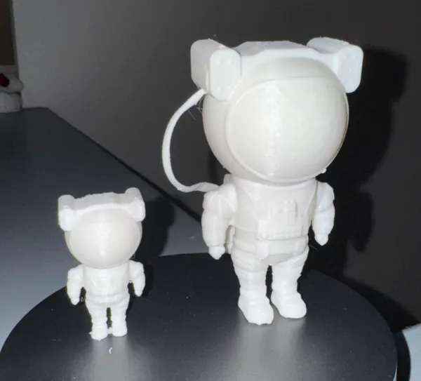 https://makerworld.bblmw.com/makerworld/model/USec25f894832/design/2024-11-13_36c3ebc394fbc.jpg