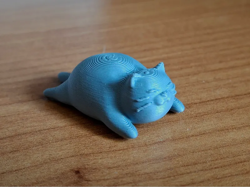 Cozy Sleepy Fat Cat