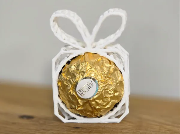 https://makerworld.bblmw.com/makerworld/model/USec28b59858f367/design/2025-11-23_0e563b824eb7a.jpg