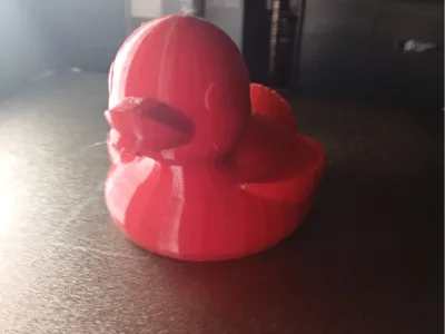 MULTIMATERIAL TEST DUCK