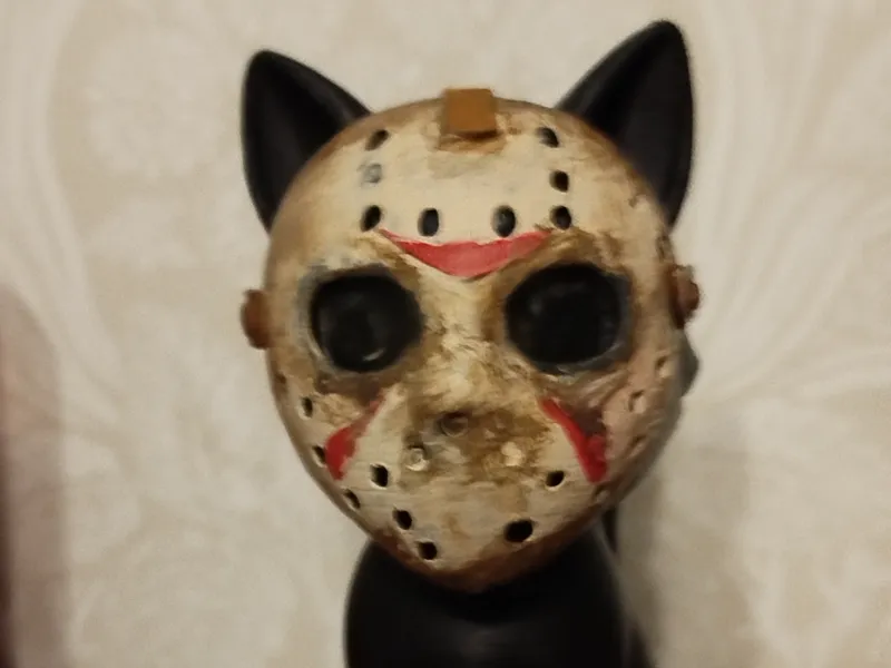 Jason the cat