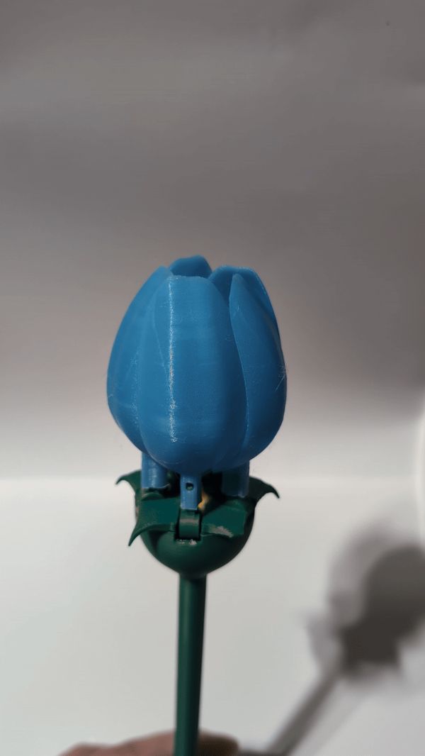 https://makerworld.bblmw.com/makerworld/model/USec3a2bdca6ac06/design/2025-02-09_f592369d970ce.gif