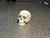 Single Skull