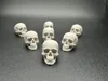 Human Skull - Quantity 12